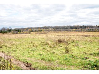 Property photo 37 - REAL ESTATE AUCTION - 1,428+/- ACRES OFFERED IN 10 TRACTS IN PRICE CO., WI